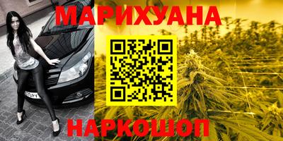 прущие крисы Кандалакша