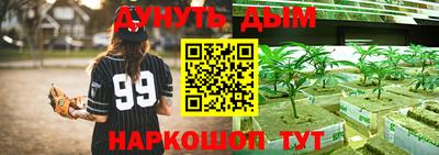 прущие крисы Кандалакша
