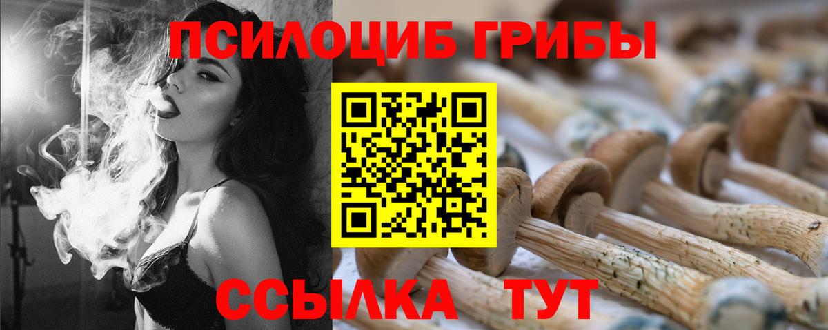 Псилоцибиновые грибы мицелий  Вход с VPN  Красноярск 